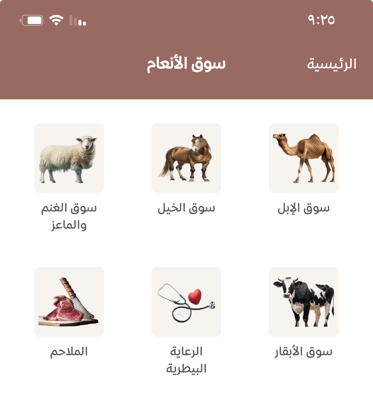 camel