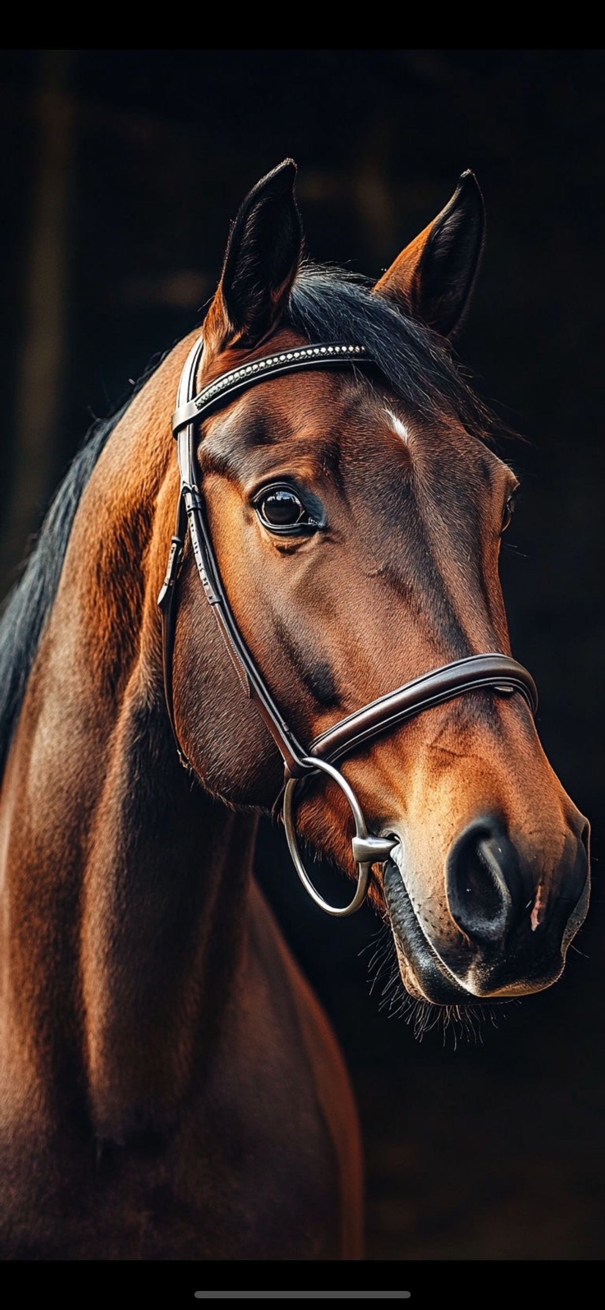 ad